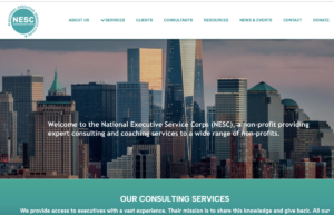 Screenshot of NESC website